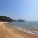 조수돗곳물 네이버블로그