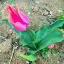 개운농장 이미지