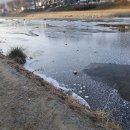 하천(대전천1) 이미지