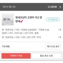 아이디어스 [차량용 석고 방향제] 구입 후기