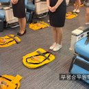 코세아항공승무원학원 | 부평승무원학원 항공과 입시 준비 후기!
