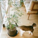 홀리데이나이트 이미지