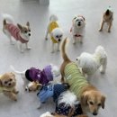 사랑한다, 멍 이미지