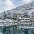 다도숲