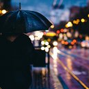 밤비의 부르스 - 안정애 이미지