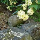 서울여관 이미지