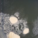 동문드라마어린이집 이미지