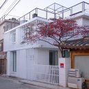 스테디무드 이미지