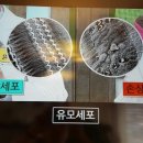 스타키보청기 성남수정센터 이미지