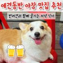 행복한하루 | 애견동반 야장 맛집 후기 - 강아지와 함께 다녀온 행복한 하루