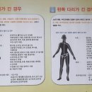 팔팔 두발로
