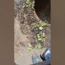 광남2동-2 이미지