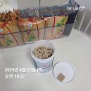 독일 PM 주스 해다방 해독 다이어트 체지방 -11% 탑쉐이프 찐후기