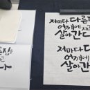 [캘리그라피] 감성 문장과 시, 동글동글 자유 글씨체까지