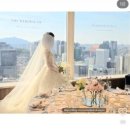 펫살롱 스위트하우스 | w. venue l 롯데호텔 벨뷰스위트 계약 후기