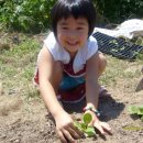 참빛농장 이미지