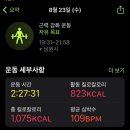 프로젝트일이삼 이미지