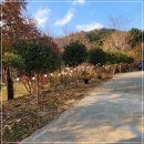 [양산 통도사 맛집] 몸만가면 완성되어 있는 캠핑장, 백록리529 양산 통도사점 후기