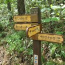 오성고속관광(주) 이미지