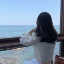 마젤오션 이미지