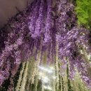 블루밍데이즈 | 부산 센텀 신세계 백화점 데이트 코스 인생샷 성지 블루밍 데이즈전시 솔직 후기 주차 팁