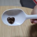 요거트 아이스크림의 정석 | 강북 수유 요아정 요거트아이스크림의 정석 수유점 솔직후기