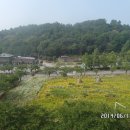 풍경모텔 이미지