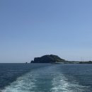 황금보리 | 2025 제주도 우도 뿔소라축제 후기 청보리 황금보리까지 (메뉴 가격 위치 전기차 대여 보트)