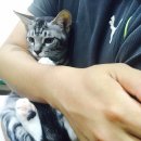 디아크동물병원 | 오랫만의 일기:-) 뿅