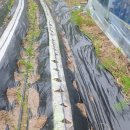 상순목장 이미지