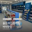 바이무인아이스크림 네이버블로그