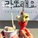 속초 디저트 젤라또 맛집 라또래요 후기