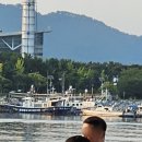 사람사는세상 이미지