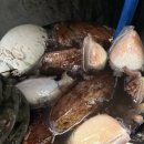 신조선집 이미지