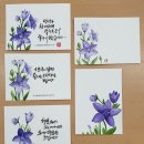 수채화 캘리그라피 초급 이미지