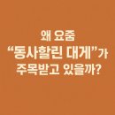 사할린 | 왜 요즘 &#39;동사할린 대게&#39;가 주목받고 있을까?