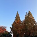 (주)제이브로짐 | 술술 .. 🍂