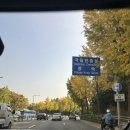 방배 삼겹살 고기집 맛집 성림돼지 후기 회식 송년회 장소 추천