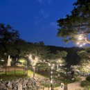 용인종합운동장(주차장입구쪽) 이미지