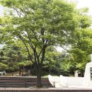 서리풀공원1-1 이미지