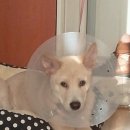 이화동물병원 이미지