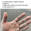 양양 풀 파티 결과... 이미지