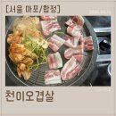 [서울 마포/합정] 천이오겹살