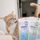 스마트메디 | 메디듀오 강릉담음 홍게스틱 고양이 간식 추천 대용량 스틱 간식 후기