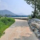 _나루터로2-11 이미지