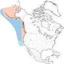 이소가축인공수정소 | 새들이 자꾸만 사라지는 이유는 무엇일까요? : 기후변화가 새에게 미치는 영향 (1)