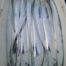 세진호 | 녹동낚시배 녹동 세진호에서 행복한 시간 보냈어요~