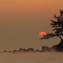 달빛소나타 이미지