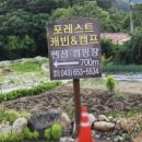 포레스트 월악 이미지