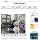안산애견미용학원